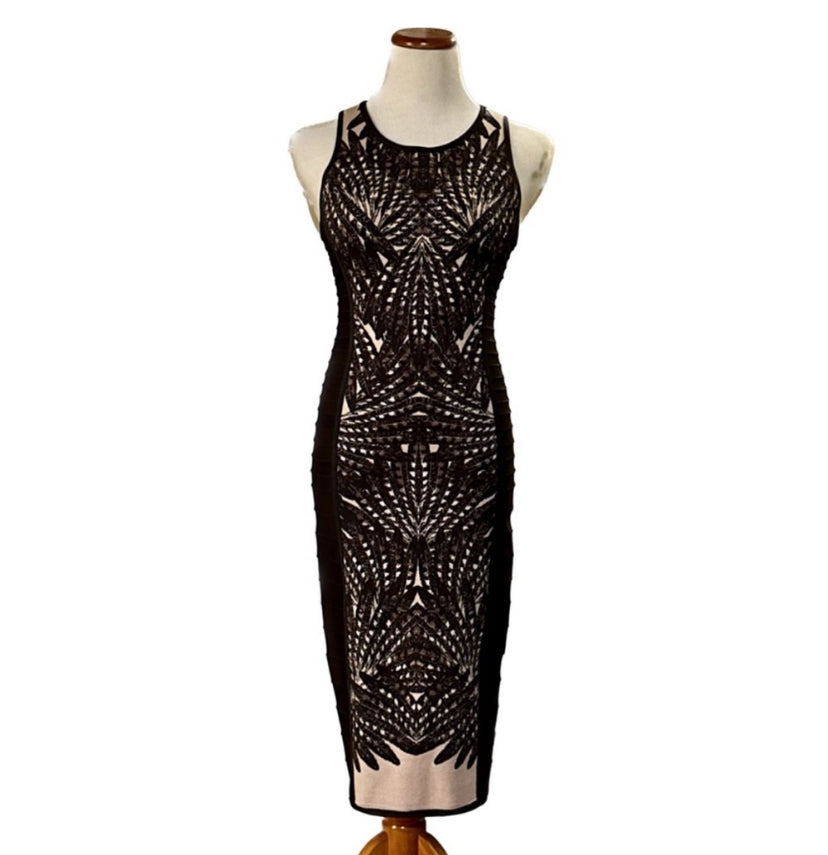 Herve Leger Vivien Dress